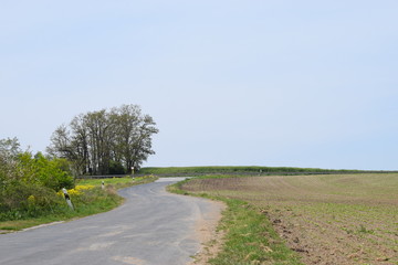 Straße nach nirgendwo
