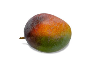 Single ripe mango, fruit isolated on a white background with a shadow of mango.