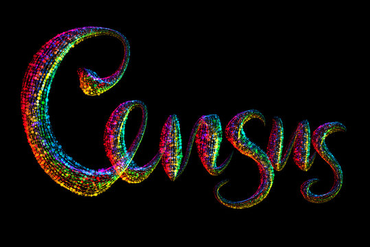 Census, Lettering Made By Sparkle Particles On Black Background. United States Of America 2020