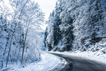 Carretera nevada en bosque