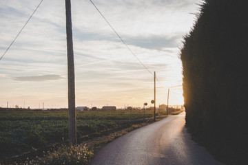 Camino rural atardecer