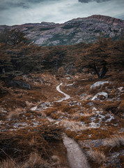 mountain trail in the morning patagonia
