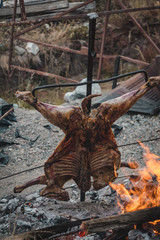 barbecue lamb in a campfire
