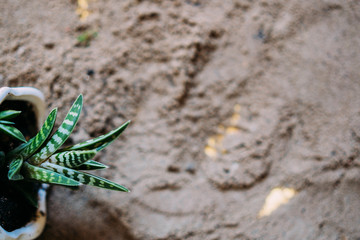 Heart painted on the sand