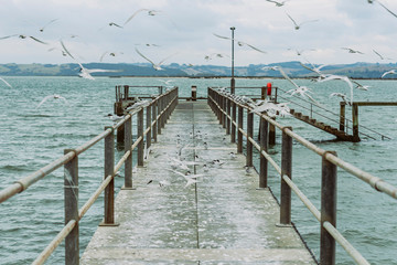 Naklejka premium Na pomoście latają ptaki