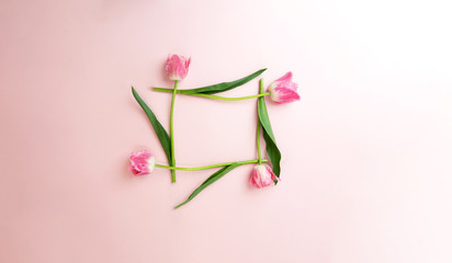 Flower composition from pink tulips make frame for invitation or text on pink background, copy space, closeup, flat lay, view from the top.