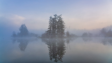 Fototapeta premium Early Morning Fog On Mud Bay