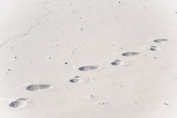 Footprints in the sand