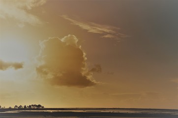 bord de plage (Bassin d'Arcachon)