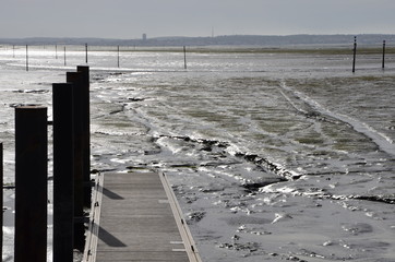 bord de plage (Bassin d&rsquo;Arcachon, ponton d'Andernos)