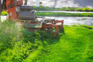 Man worker cutting grass in summer with a lawn mower - obrazy, fototapety, plakaty