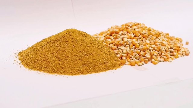 Yellow gold Corn Distiller's dried grains with solubles (DDGS) and corn grains are the nutrient rich co-product of dry -milled ethanol .The biofuel plants are a growing source