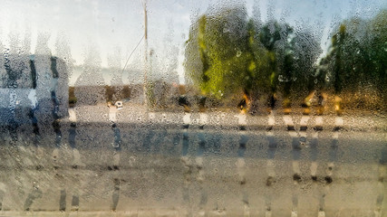 morning in the forest behind wet glass window