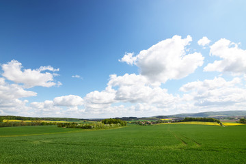 Schaumburger Frühlingslandschaft