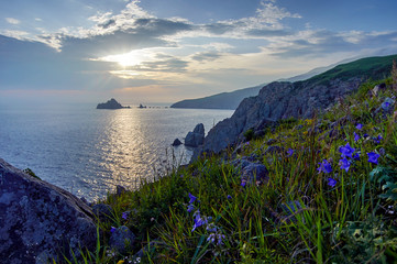 Green hills and steep rocky shores by the ocean. View of the rugged islands and peninsulas at...