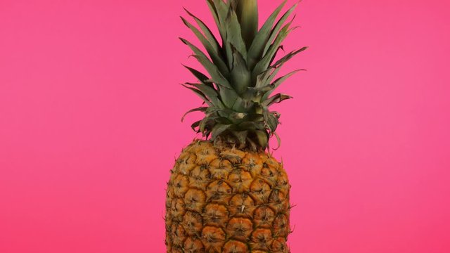 Rotating pineapple on a pink pastel background