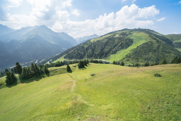 Obraz premium Idyllic summer landscape in the Alps