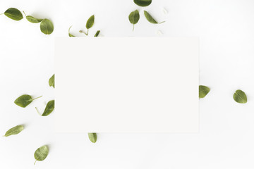 Leaves and blank white card on white background, Top view. Flat lay. Mockup