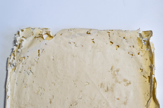 Paper swallowed with silverfish. Traces of wrecking silverfish on vinyl envelopes.