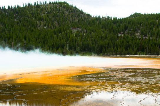 Nature created a tri color looks like a inverted indian flag