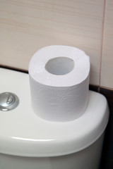 Toilet paper on white toilet tank closeup