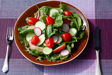 Fesh salad with spinach, cucumber.
