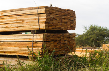 wood boards stacked for drying process in the sawmill