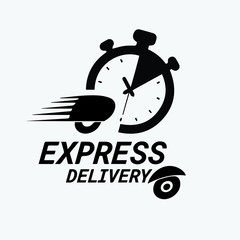 Express delivery icon for apps and website. Delivery concept. Vector illustration. Flat design.