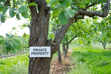 Private Property sign seen nailed to an old Apple Tree seen in a private orchard, adjacent to public footpath. 