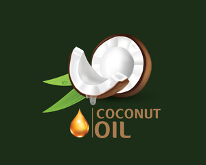 Realistic coconut organic milk ,oil and green palm leaves Vector illustration