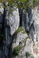 Fototapeta na wymiar Muro de roca gris