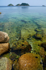 Sea coast with clear water. Stones and sea urchins at the bottom.