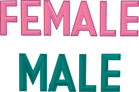 Female, male - sign chisel alphabet font for print industry, home decoration, social media, magazin heading, web design. Vector stock illustration isolated on white background. EPS10