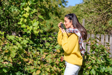 A beautiful woman eating wine grapes on a field