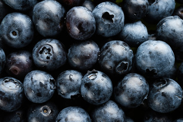 Background of fresh blue berries close-up