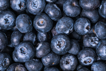 blueberries on the table background