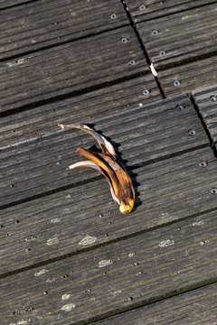 Verfaulte Bananenschale