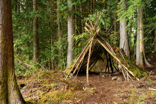Woodland shelter on a survival and bushcraft course in British Columbia, Canada