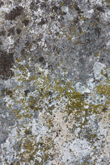 Fototapeta premium stone texture, background