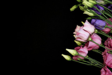 eustoma flowers on black isolator