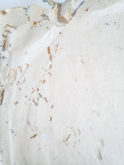 Paper swallowed with silverfish. Traces of wrecking silverfish on vinyl envelopes.