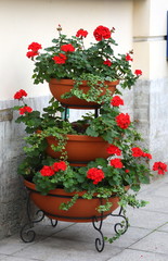 Fototapeta na wymiar iered portable flowerbed with red flowers