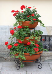 Fototapeta na wymiar iered portable flowerbed with red flowers