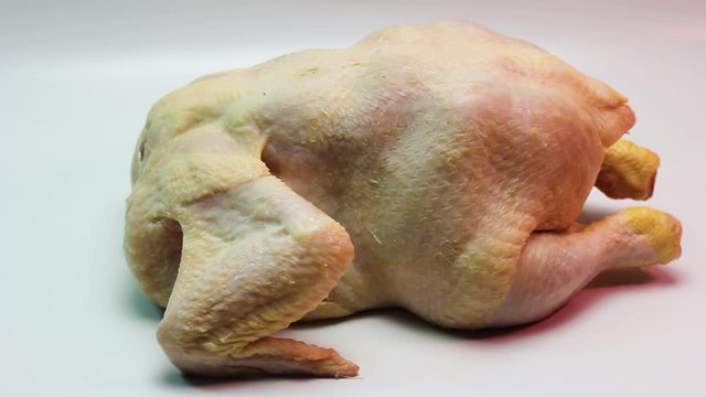 broiler chicken carcass alive isolated raw meat grill cooking culinary