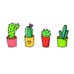 Colorful succulents in vector. Cacti in the pots illustration