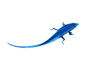 Origami blue lizard isolated white