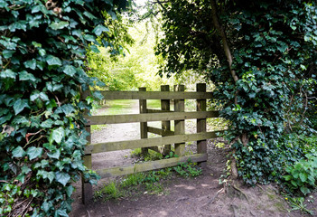 Wooden gate and fence, leading to the park. 