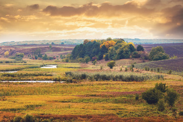 Obraz premium Spacious valley with river and forest at sunset. Picturesque sunset in the steppe