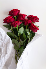 Fototapeta premium red roses on a white background