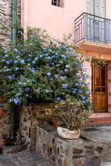 House decorated with flowers in Collioure city, France